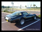 Mes voitures - Chevrolet Corvette C3 1979 L82 -2038